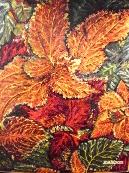 AU COEUR DE LA NATURE, LES COULEURS DE L'AUTOMNE SONT DEVENUES UN CHORUS PICTURAL POUR CHRISTIAN ALLIGROS  