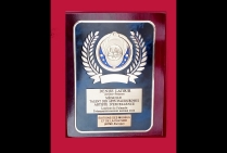 La Plaquette d'Honneur avec Médaille de Talent des Arts d'Aujourd'hui - Artiste d'Excellence 2024 est venue récompenser le travail artistique de la lauréate Denise LATOUR, dont les œuvres et l'expérience picturale ont convaincu le Comité du Jury 