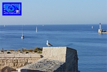 Grands Trophées de la Méditerranée des Styles et des Arts MARSEILLE 2019 - (EDMC)
